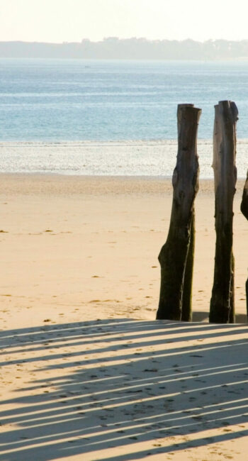 Traditional wooden stakes at Saint-Malo (Brittany, France)