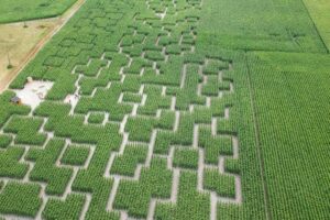 blog-partir-à-pornic-popcorn-labyrinthe