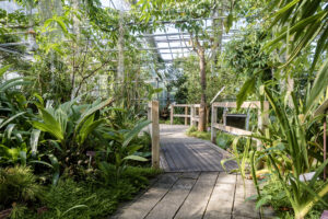 blog-guest-adom-partir-en-bretagne-brest-jardin-du-conservatoire-botanique