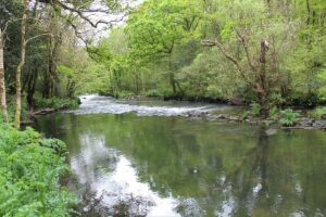 blog-guest-adom-partir-en-bretagne-quimper-les-gorges-du-stangala